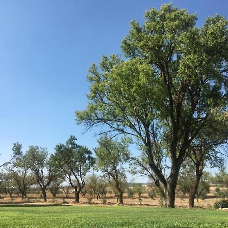 Finca El Relax Colmenar de Oreja Esterno foto