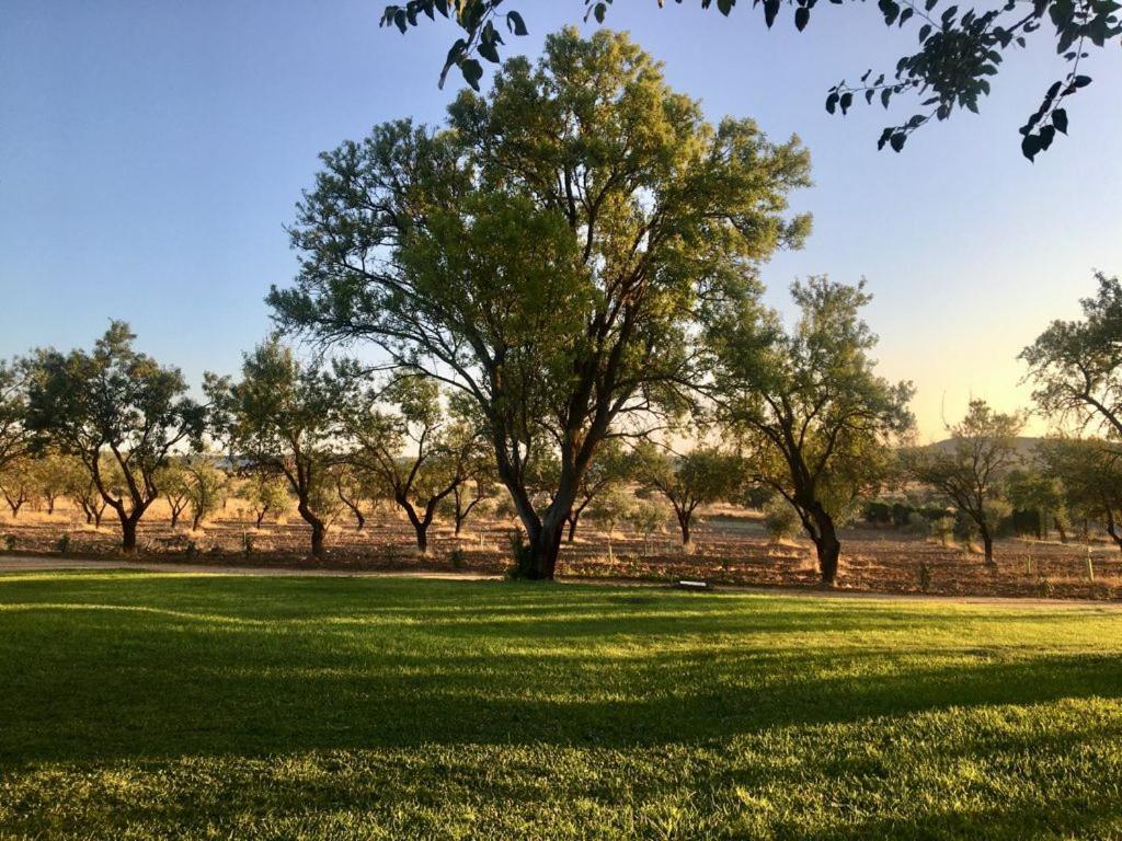 Finca El Relax Colmenar de Oreja Esterno foto