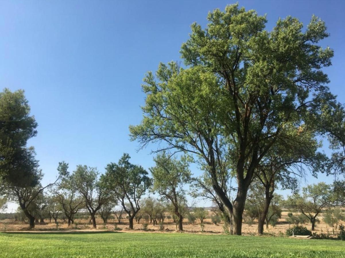 Finca El Relax Colmenar de Oreja Esterno foto